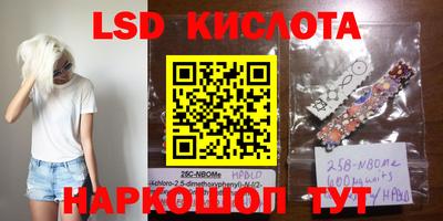 крисы Кандалакша