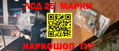 молекула духа Камышлов