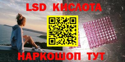 крисы Кандалакша