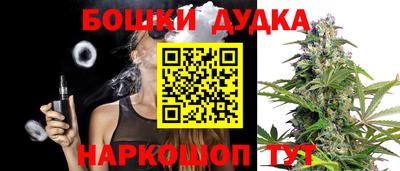 молекула духа Камышлов