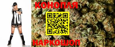 крисы Кандалакша