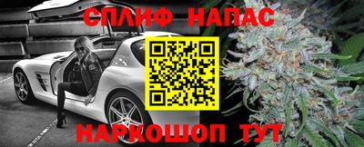 крисы Кандалакша