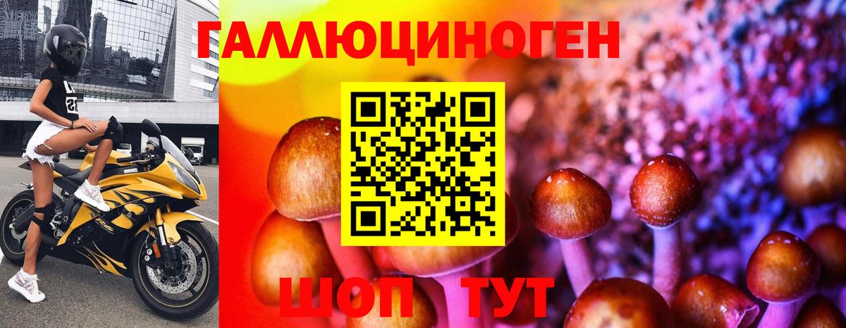 Галлюциногенные грибы прущие грибы Красноярск