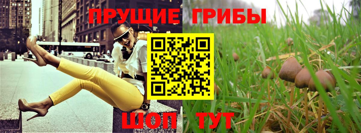 Красноярск  Псилоцибиновые грибы мухоморы  купить   Вход с VPN  Псилоцибиновые грибы Cubensis 